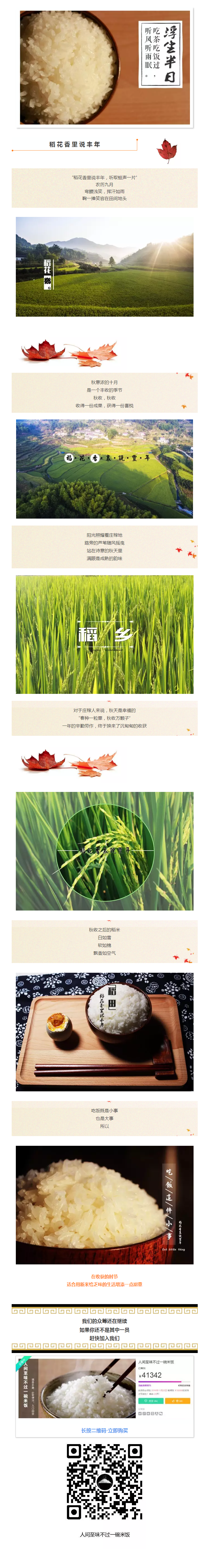 農歷九月·稻花香里說豐年