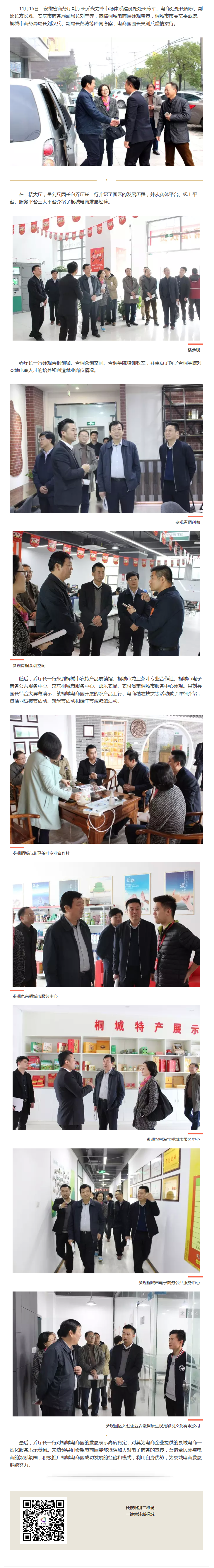 安徽省商務廳副廳長喬興力一行蒞臨桐城電商園參觀考察
